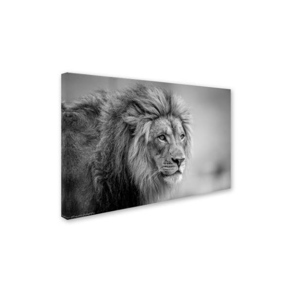 Jeffrey C Sink 'His Majesty' Canvas Art,16x24